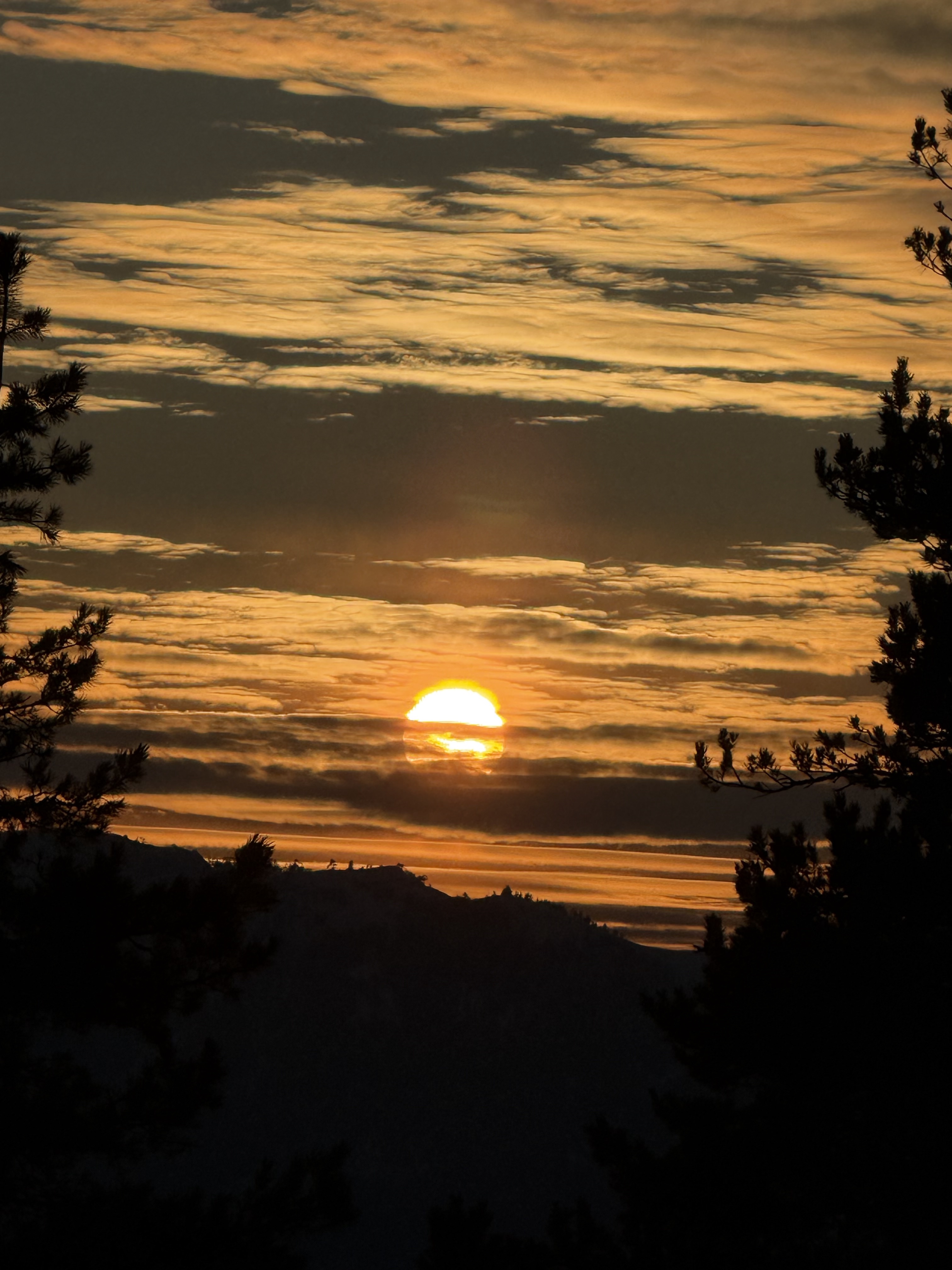 ჩითახევის თავშესაფარი