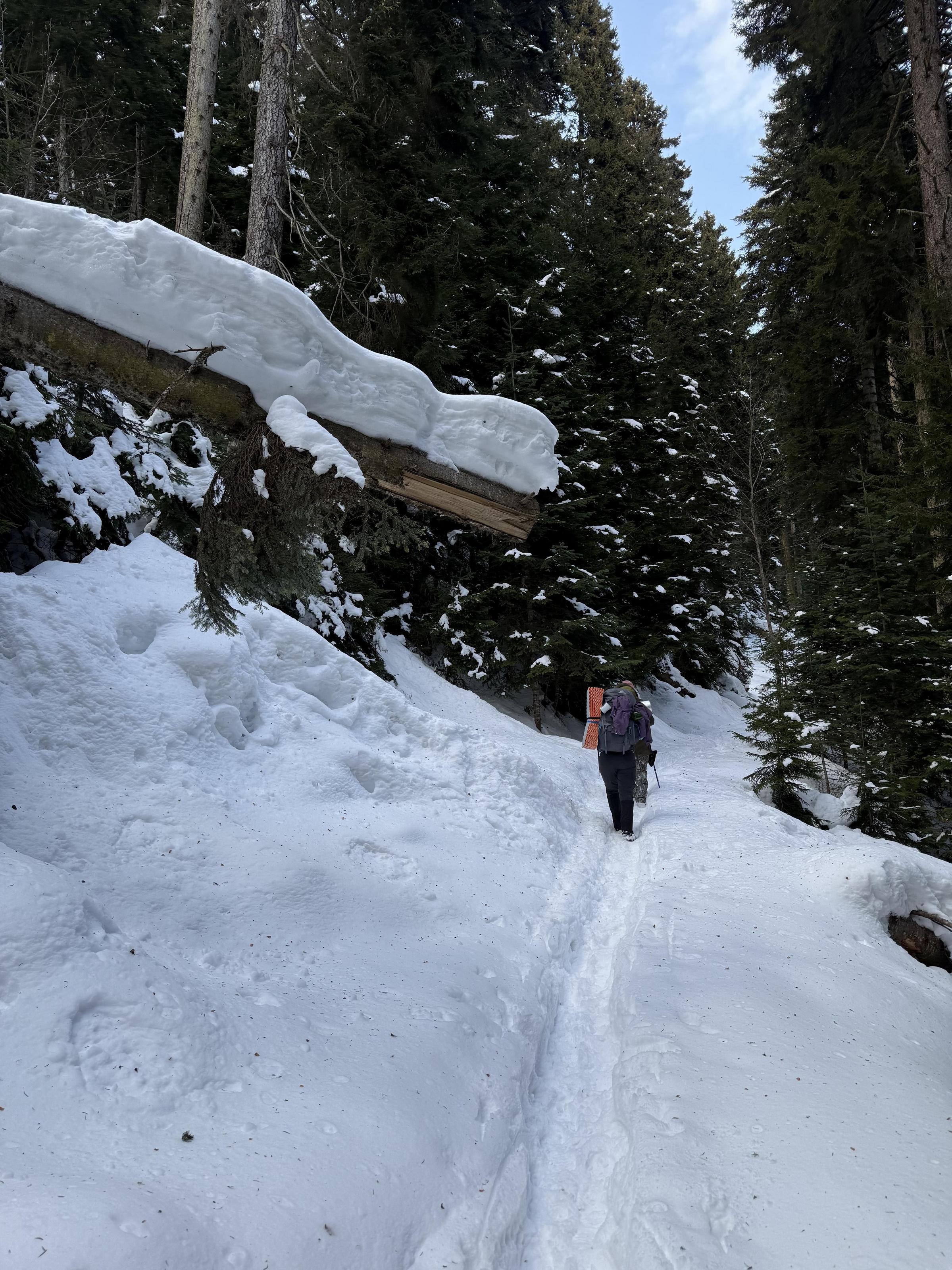 ჩითახევის თავშესაფარი