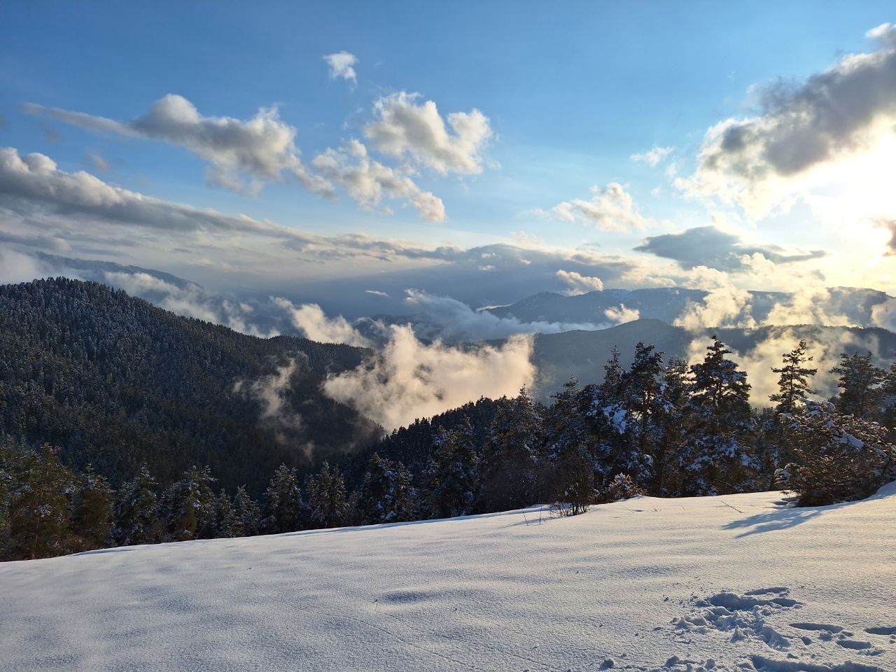 ჩითახევის თავშესაფარი
