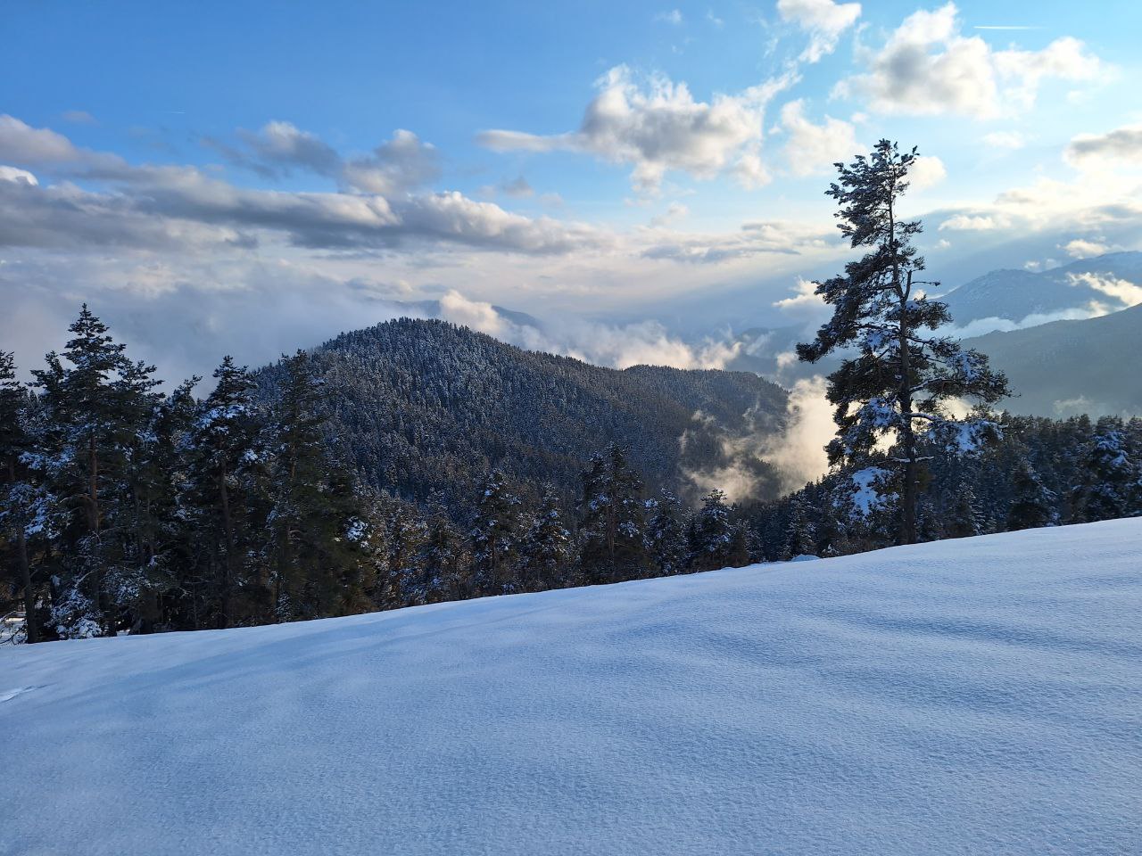 ჩითახევის თავშესაფარი