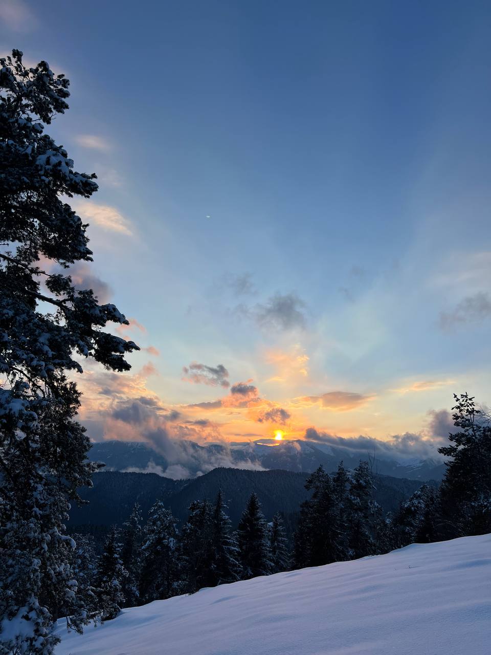 ჩითახევის თავშესაფარი