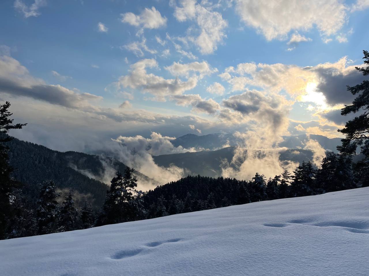 ჩითახევის თავშესაფარი