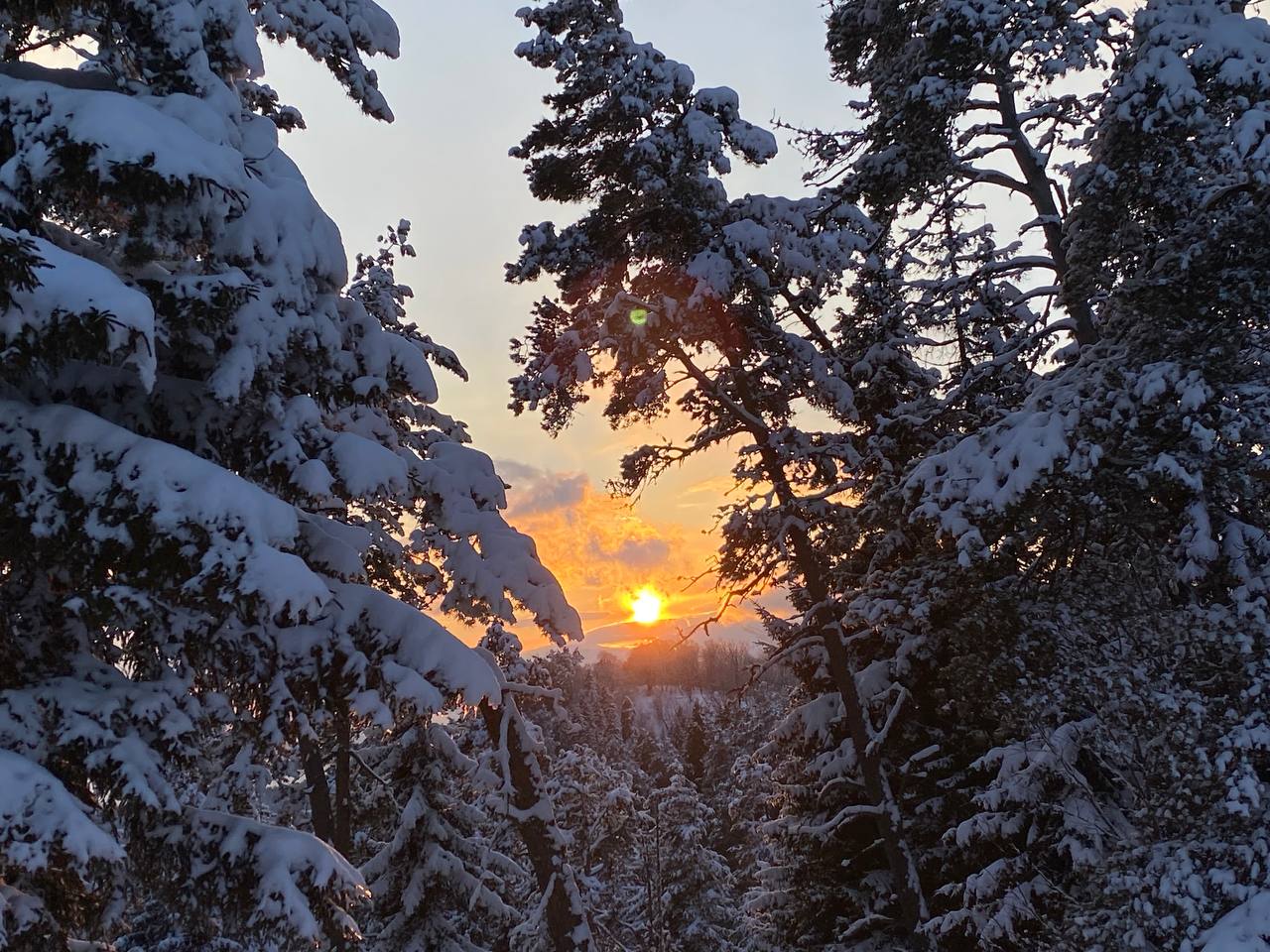 ჩითახევის თავშესაფარი