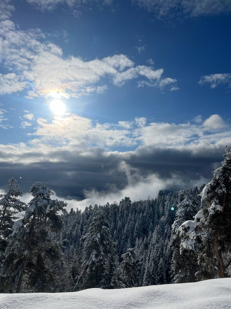 ჩითახევის თავშესაფარი